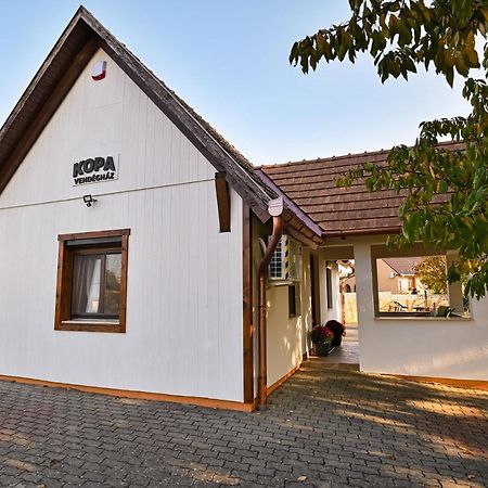 Kopa Vendeghaz Apartment Szigetvar Bagian luar foto