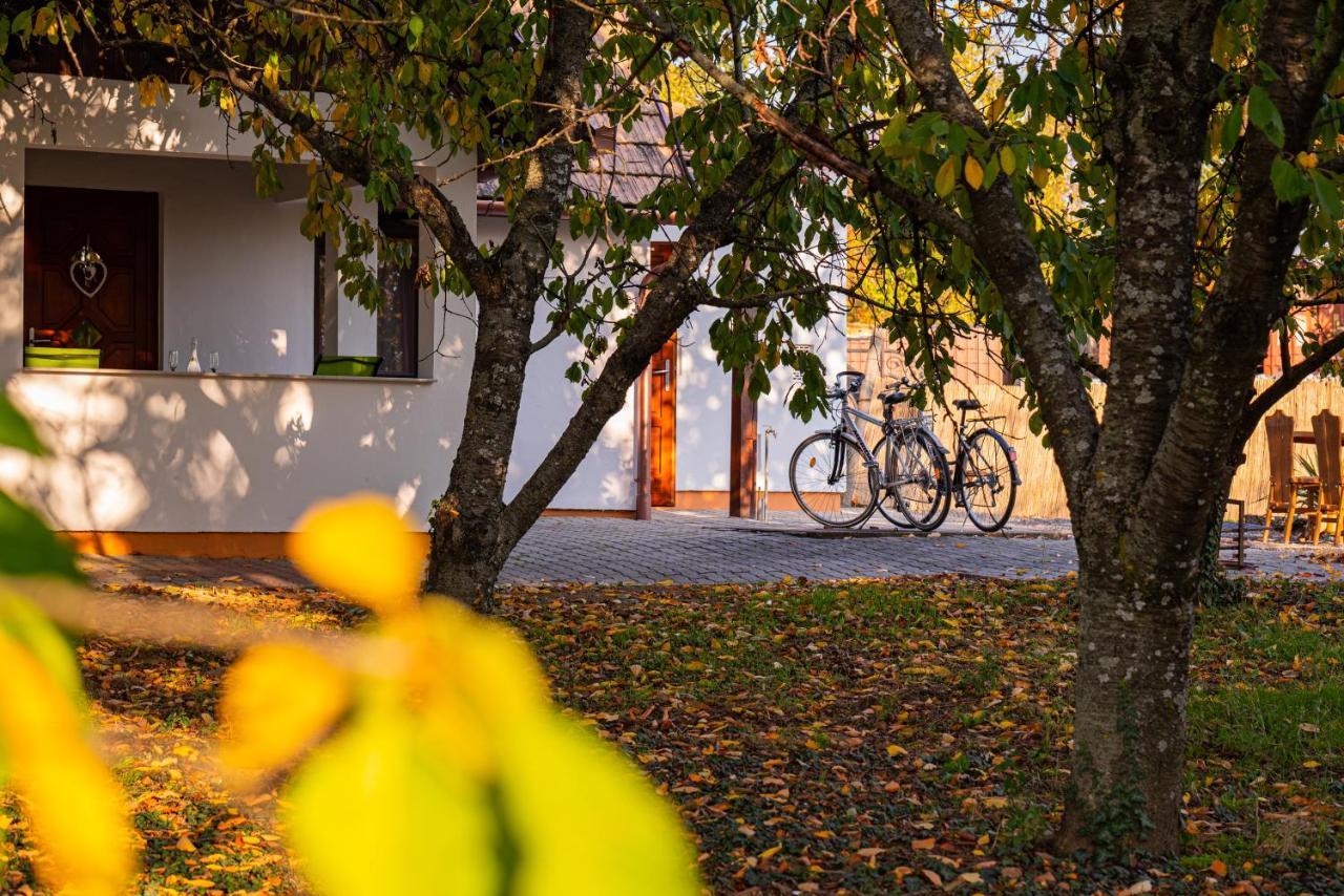 Kopa Vendeghaz Apartment Szigetvar Bagian luar foto